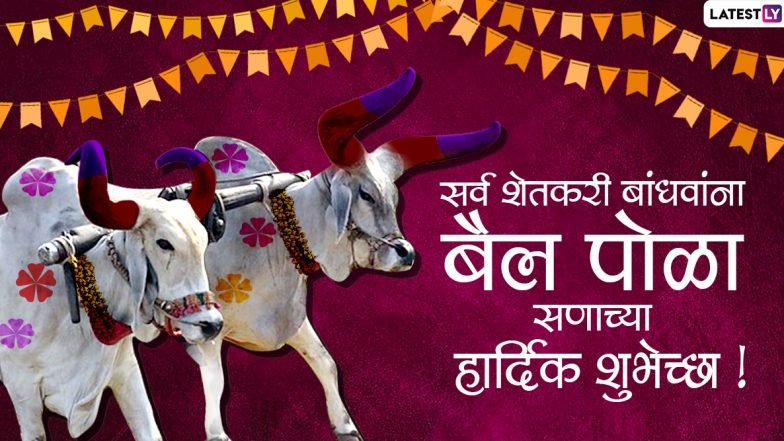 Bail Pola Wishes in Marathi: बैल पोळ्याच्या शुभेच्छा मराठमोळे मेसेजेस, Wishes च्या माध्यमातून WhatsApp, Facebook वर शेअर करून खास करा बळीराजाचा सण!