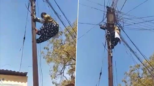 Watch Video: ग्राहकांना अखंडीत वीज पुरविण्यासाठी चक्क विद्युत खांबावर चढणाऱ्या उषा जगदाळे यांचा व्हिडिओ व्हायरल Watch Video: ग्राहकांना अखंडीत वीज पुरविण्यासाठी चक्क विद्युत खांबावर चढणाऱ्या उषा जगदाळे यांचा व्हिडिओ व्हायरल