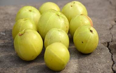 Health Benefits Of Amla: बहुगुणी आवळ्याचे 'हे' आरोग्यदायी फायदे तुम्हाला माहित आहेत का? जाणून घ्या