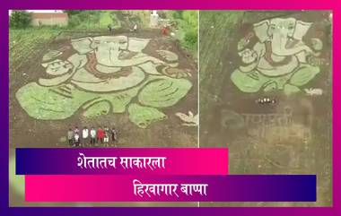 Ganeshotsav: सोलापूर मध्ये बाले गावातील तरूणांनी साकारला शेतात Grass Painting गणपती; Watch Video