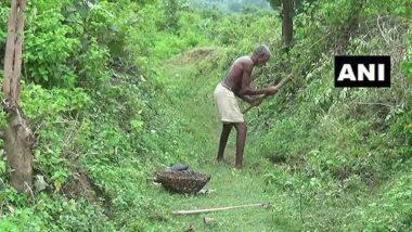 Bihar: बिहारमधील 70 वर्षीय Laungi Bhuiyan यांचा पराक्रम; शेतीला पाणी मिळावे म्हणून 30 वर्षांत खोदला 3 किमी लांबीचा कालवा (See Photo)