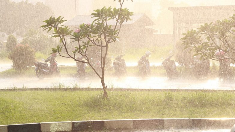 Maharashtra Rain: महाराष्ट्रात पावसामुळे 213 जणांचा मृत्यू, तर अद्याप काही जण बेपत्ता