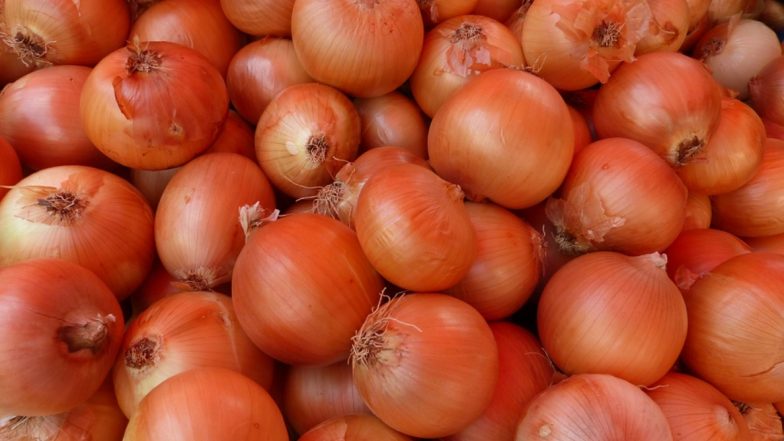 Onion Price Down: शेतकरी हवालदिल, महाराष्ट्रात कांद्यांचे दर कोसळले, 1 रुपया प्रतिकिलोने विक्री