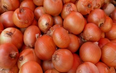 Central Government Stops Onion Export: केंद्र सरकारकडून कांदा निर्यात बंदी, शेतकरी संतप्त, संघटना आक्रमक, भाजपची कोंडी