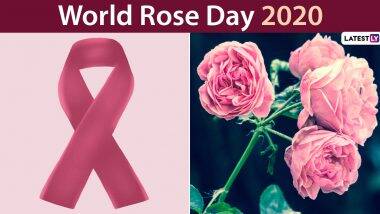 World Rose Day 2020 Wishes and Images Trend Online: जागतिक गुलाब दिनानिमित्त कॅन्सरग्रस्तांना संदेशामधून हे फुल पाठविणे याचा काय आहे संबंध? जाणून घ्या सविस्तर
