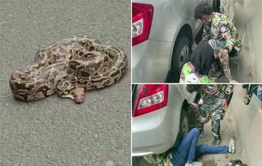 Eastern Express Highway Jammed Due To Python: 8 फुटी अजगरामुळे  पूर्व द्रुतगती महामार्गावर वाहतूक कोंडी; पहा फोटोज