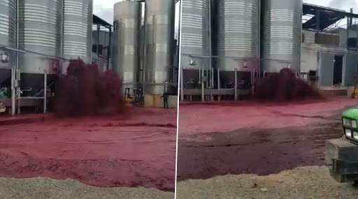 Red Wine Floods: 50 हजार लीटर रेड वाइन पाण्याप्रमाणे वाहून गेली; व्हायरल व्हिडिओ पाहून नेटीझन्स झाले हैराण