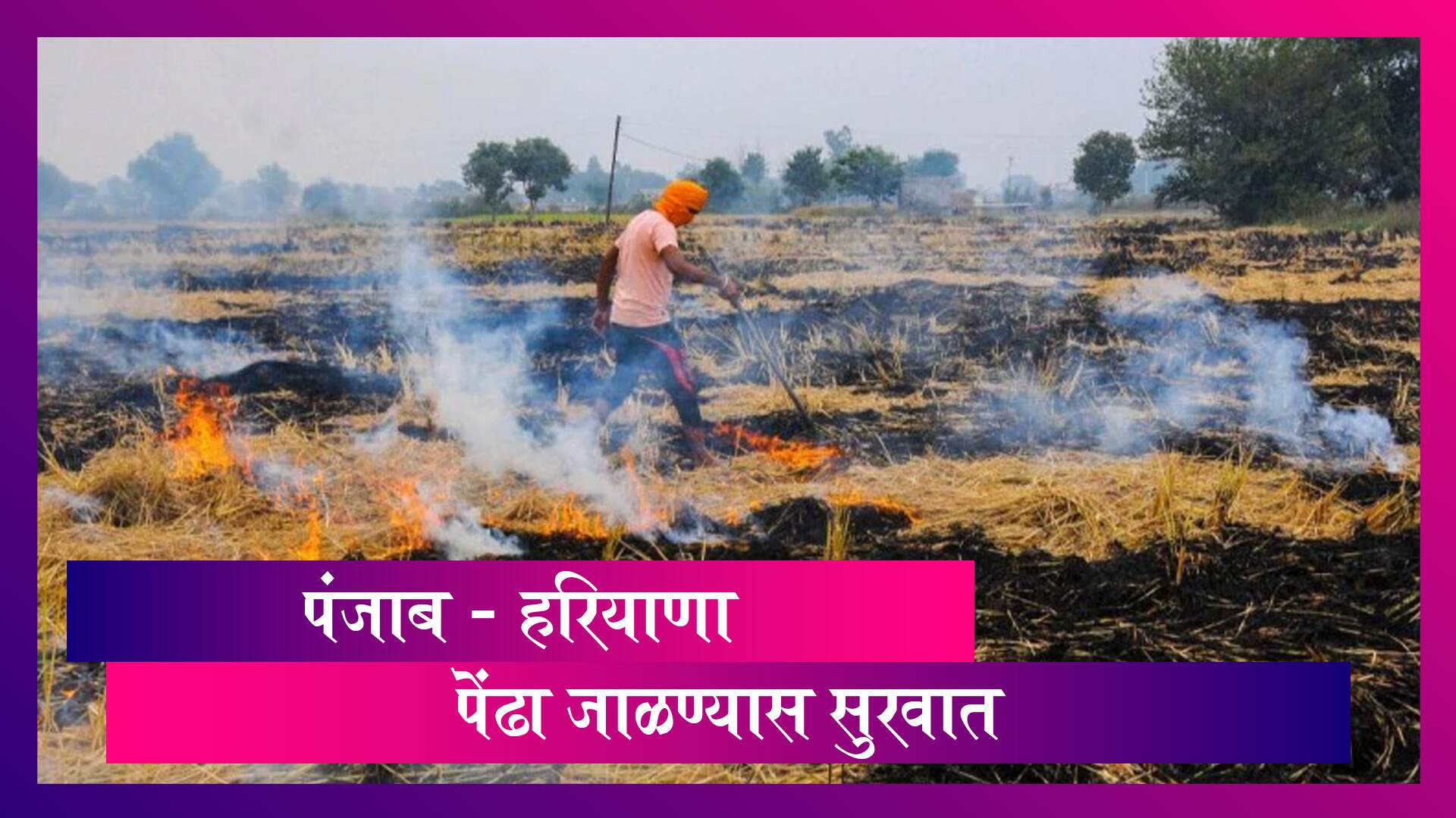 Stubble Burning by Farmers : NASA च्या प्रतिमेतून पंजाब,हरियाणामध्ये पेंढा जाळल्याचे चित्र आले समोर