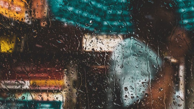 Maharashtra Rain Update: मध्य महाराष्ट्र, विदर्भ, मराठवाडा, कोकणात दमदार पावसाची शक्यता- हवामान विभाग