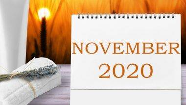 November 2020 Festivals Calendar: नोव्हेंबर महिन्यात यंदा दिवाळी, तुलसी विवाह ते अगदी त्रिपुरारी पौर्णिमेची धूम पहा सार्‍या सणांची यादी