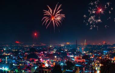 Diwali 2020 Dates: यंदा दिवाळी कधी आहे? वसूबारस, लक्ष्मीपुजन ते भाऊबीज 6 दिवसांच्या दीपोत्सवात कोणता सण कधी?