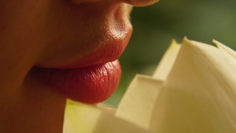 Winter Lips Care Tips: थंडीत ओठांची काळजी घेण्यासाठी करा 'हे' घरगुती उपाय