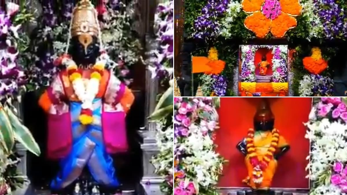 Diwali 2020: दिवाळी पाडवा आणि भाऊबीज निमित्त पंढरपूर विठ्ठल रुक्मिणी मंदिरात रंगीबेरंगी फुलांची सुंदर सजावट (Watch Video) Diwali 2020: दिवाळी पाडवा आणि भाऊबीज निमित्त पंढरपूर विठ्ठल रुक्मिणी मंदिरात रंगीबेरंगी फुलांची सुंदर सजावट (Watch Video)