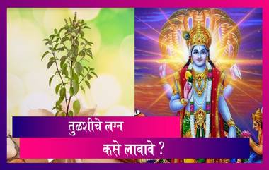 Tulsi Vivah 2020: कसे कराल तुळशीचे लग्न ? जाणून घ्या सविस्तर पद्धत