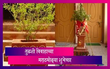 Tulsi Vivah Wishes in Marathi: तुळशी विवाह शुभेच्छा Greetings, Messages, HD Image, WhatsApp Status