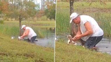 Man Rescue Puppy From Alligator: पाळीव कुत्र्याचा जीव वाचवण्यासाठी मालकाची मगरीशी झटापट; Watch Viral Video