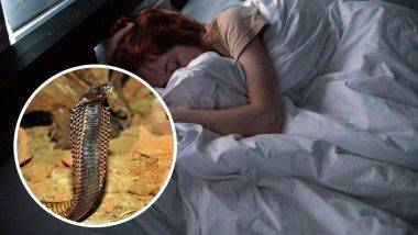 Snakes in Dreams : तुम्हाला स्वप्नात साप दिसतो का? स्वप्नात साप दिसण्याचा काय अर्थ आहे ? जाणून घ्या अधिक सविस्तर 