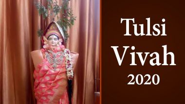Tulsi Vivah 2020 Date and Shubh Muhurat: यंदा तुळशी विवाह कधी आणि कसा कराल? जाणून घ्या शुभ मुहूर्त आणि महत्त्व