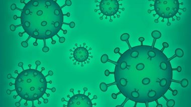 Coronavirus in Maharashtra: महाराष्ट्रात कोरोना विषाणू रुग्ण संख्येने पार केला 20 लाखाचा टप्पा; सध्या 45,622 सक्रीय रुग्णांवर उपचार सुरु