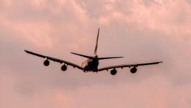 पाकिस्तानातील पायलटचा प्रवासदरम्यान विमान उडवण्यास नकार, 'असे' उत्तर दिल्याने भडकले प्रवासी