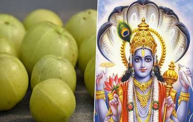 Amla Navami 2020: 'अक्षय नवमी' कधी आहे? जाणून घ्या या दिवसाचे महत्त्व