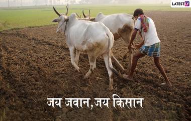 Happy Kisan Diwas 2020 Images: राष्ट्रीय शेतकरी दिनानिमित्त मराठमोळी HD Greetings, Wallpapers, Wishes शेअर करुन बळीराजांना द्या शुभेच्छा!