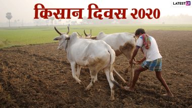 Kisan Diwas 2020 Messages: किसान दिवस निमित्त बळीराजाबद्दलच्या भावना व्यक्त करण्यासाठी मराठी शुभेच्छा संदेश, Wishes