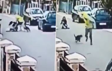 Street Dog Viral Video: चोराने हिसकावली महिलेची पर्स; स्ट्रीट डॉगने चोराला शिकवला 'असा' धडा; पहा व्हायरल व्हिडिओ