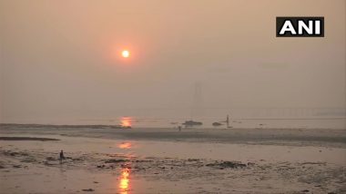 Last Sunset of 2020: सरत्या वर्षातील शेवटचा सूर्यास्त; मुंबईच्या माहीम बीचवर टिपले मनोहर दृश्य (See Photo)