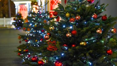 Christmas 2020: नाताळ सणासाठी 'क्रिसमस ट्री' ला का आहे विशेष महत्व; जाणून घ्या यामागचे मूळ कारण