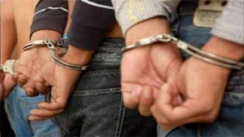 Palghar Lynching: पालघर साधू हत्याकांडप्रकरणी आणखी 24 जणांना अटक; 19 जणांना 14 दिवसांची न्यायालयीन कोठडी