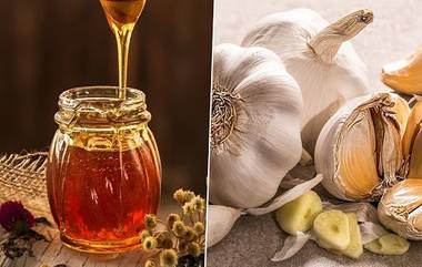 Garlic Honey Health  Benefits: लसूण आणि मध खाऊन त्यावर कोमट पाणी पिल्याने होतात 'हे' आश्चर्यकारक फायदे आहेत