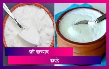 Health Benefits Of Curd: दररोज दही खाण्याचे 'हे' आश्चर्यकारक फायदे माहीत आहेत का तुम्हाला