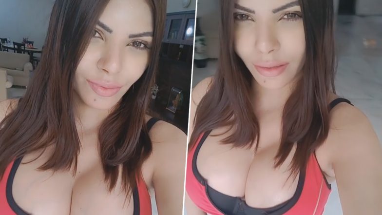 Sherlyn Chopra च्या चाहत्याने Mail करुन शर्लिनला विचारला इतका खाजगी प्रश्न की मॉडेलने सोशल मिडियावर शेअर केला स्क्रिनशॉट