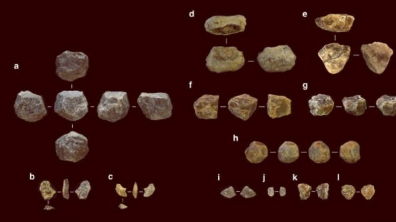 Oldest Stone Tool: टांझानियामध्ये सापडली मानवांनी तयार केलेली सर्वात प्राचीन दगडी शस्त्रे; 26 लाख वर्षांपूर्वी झाली होती निर्मिती