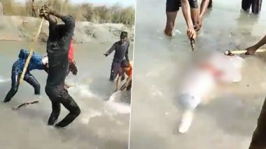 उत्तर प्रदेशच्या प्रतापगड मध्ये Dolphin ची काठी, कुर्‍हाडी ने मारून अमानुष हत्या; Viral Video नंतर 3 जण अटकेत