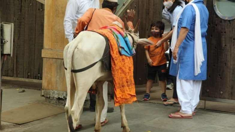 Taimur Ali Khan वांद्रे येथील त्याच्या घराजवळ दिसला नंदी बैलाचं दर्शन घेताना (View Pics)