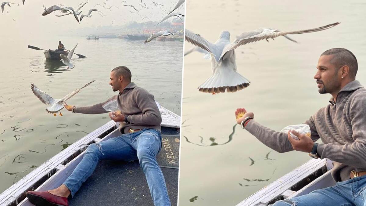 Cricketer Shikhar Dhawan याच्या संकटात वाढ, बर्ड फ्लू मार्गदर्शक सूचनेचे उल्लंघन केल्याबद्दल वाराणसी कोर्टात आरोपपत्र दाखल
