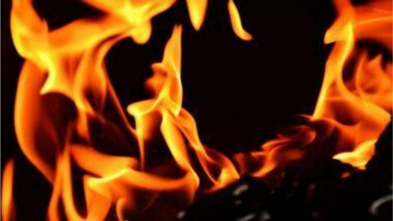 Sanitizer Blast in Kolhapur: कोल्हापूरमध्ये कचरा जाळताना सॅनिटायझरच्या बाटलीचा स्फोट; महिलेचा होरपळून मृत्यू