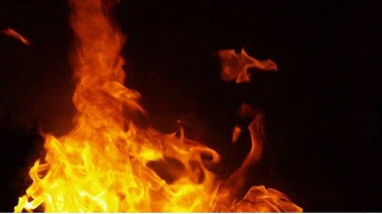 Wardha Gol Bazar Market Fire: वर्ध्या शहरातील गोल बाजार परिसरात भीषण आग; भाजी विक्रेत्यांची 10 ते 15 दुकाने जळून खाक
