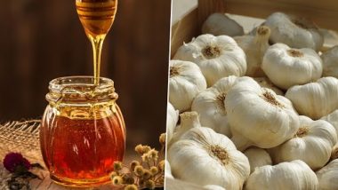 Raw Garlic And Honey For Weight Loss: कच्चा लसूण आणि मधाचे मिश्रण खाऊन महिन्याभरात तुम्ही करू शकता वजन कमी; जाणून घ्या कसे कराल सेवन 