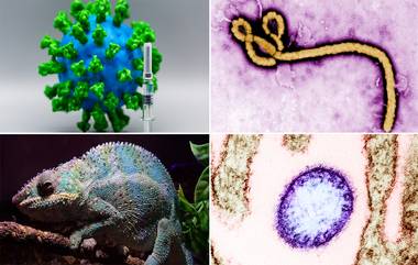 Coronavirus पेक्षाही 'हे' 7 रोग आहेत अधिक धोकादायक; वैज्ञानिकांकडून सतर्कतेचा इशारा, जाणून घ्या सविस्तर