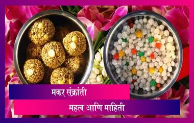 Makar Sankranti 2021: जाणून घ्या मकर संक्रांती चे महत्व आणि माहिती