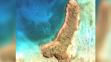Google Map वर Joleen Vultaggio हिला सापडला 'Penis-Shaped' Island; बेटाचा शेप बघून बसला धक्का