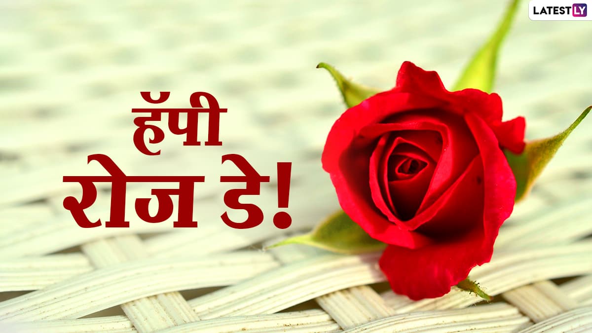 Rose Day 2025: रोझ डे ची तारीख, महत्व आणि साजरा करण्याची पद्धत, जाणून घ्या, संपूर्ण माहिती