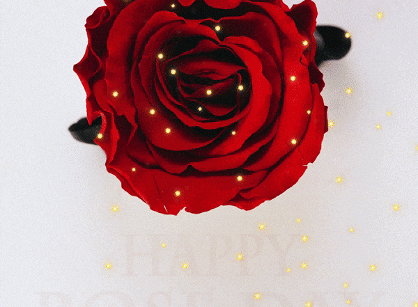 Rose Day Wishes 2022: तुमच्या प्रियकर आणि मैत्रिणीला शेअर करण्यासाठी Rose Dayच्या शुभेच्छा