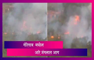 Aarey Forest Fire: मुंबई मध्ये आरे जंगलात आग; अग्निशमन दलाच्या गाड्या घटनास्थळी रवाना