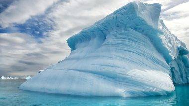 Life in Antarctica! निसर्गाचा चमत्कार; ब्रिटीश शास्त्रज्ञांना अंटार्क्टिकामध्ये पाण्याखाली 3000 फुटांवर अपघाताने सापडले जीव, Watch Video