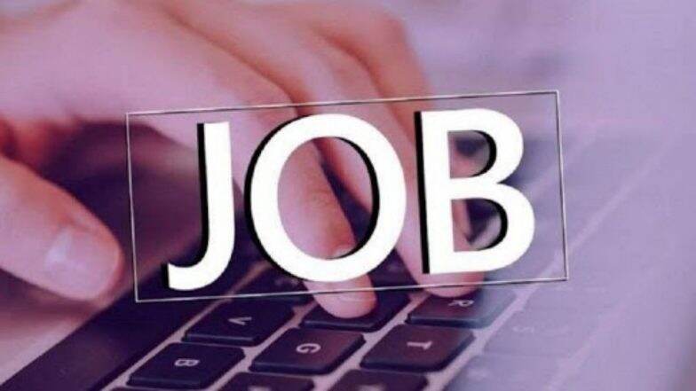 Earn from Home Online: 'या' 5 मार्गाने तुम्ही घरी बसून पैसे कमवू शकता; जाणून घ्या काय करावं लागेल काम