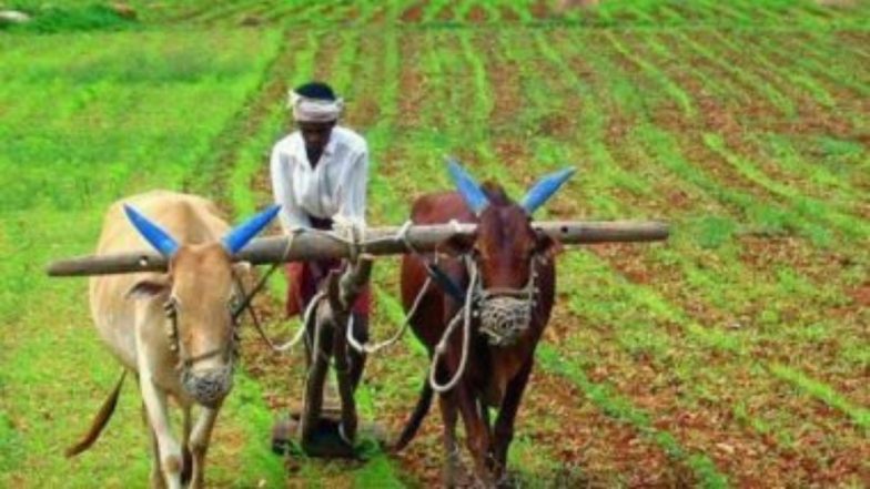 Maharashtra: हिंगोली मधील शेतकऱ्याची मुख्यमंत्री उद्धव ठाकरे यांच्याकडे नक्षलवादी होण्याची मागणी